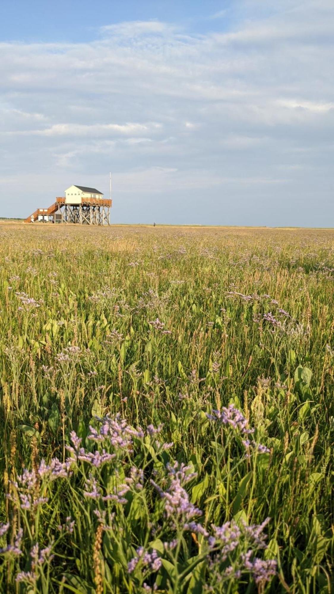 Birkenlund Villa Böhl Екстериор снимка